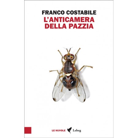 L'anticamera della pazzia - F. Costabile